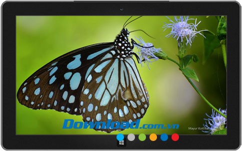 Butterflies of Nagpur theme