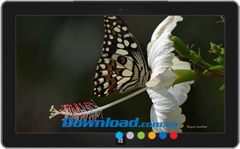 Butterflies of Nagpur theme