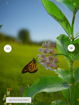 Hình ảnh tuyệt đẹp