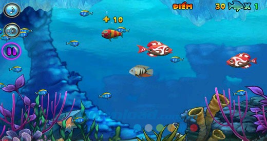 Cá lớn nuốt cá bé cho iOS