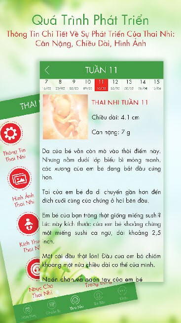 Hiển thị toàn bộ thông tin quá trình phát triển thai nhi
