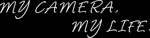 Ứng dụng chụp ảnh đa năng