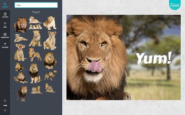 Canva cho PC giúp việc thiết kế đồ họa trở nên dễ dàng hơn bao giờ hết