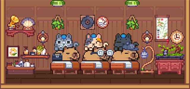 Hãy để những chú mèo xua tan nỗi lo lắng của du khách