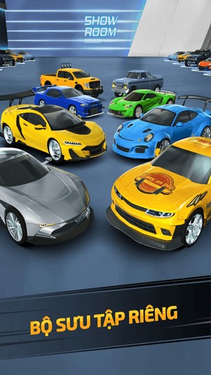 Bộ sưu tập xe riêng