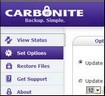 Carbonite Online Backup - Secure Cloud Backup