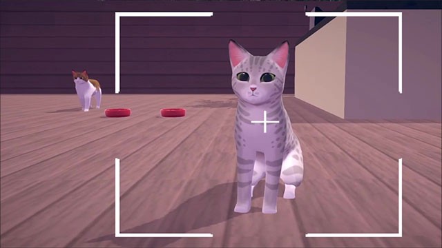 Tính năng chụp ảnh mèo cưng được tích hợp sẵn trong game Cat Cafe Simulator