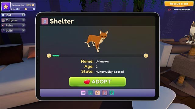 Nhận nuôi những chú mèo con để làm bạn trong quán cafe xinh xắn