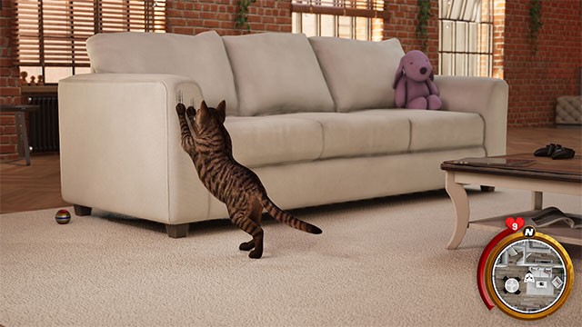 Khám phá trong nhà và dần mở rộng thêm nhiều địa điểm mới bên ngoài