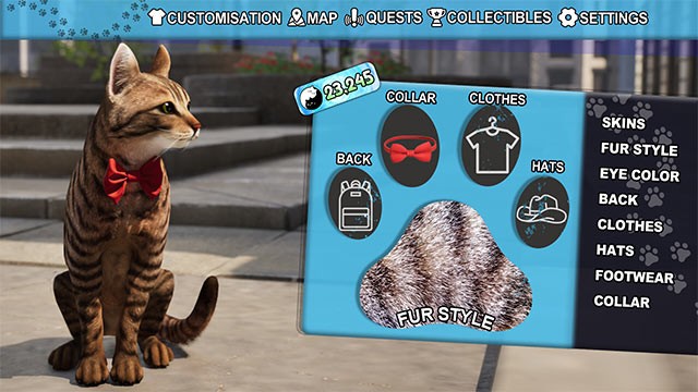 Tùy chỉnh mèo con bằng màu lông, quần áo, phụ kiện... và nhiều tùy chọn khác