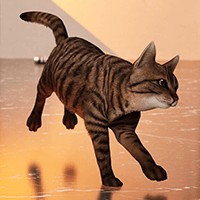 Cat Life Simulator - Game Mèo Con Phiêu Lưu Ký