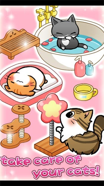 Xây dựng và trang trí căn phòng tuyệt đẹp cho mèo