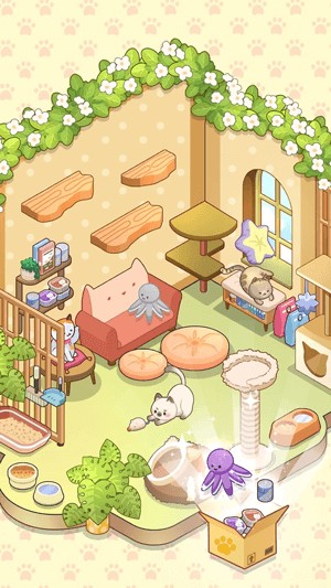 Unbox & trang trí phòng mèo