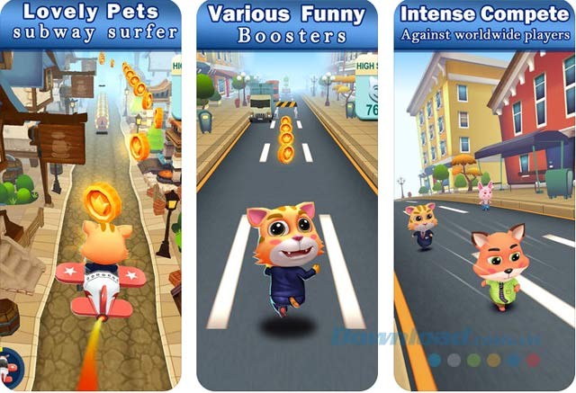 Hành trình chạy bất tận với thú cưng