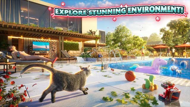 Khám phá môi trường tươi đẹp xung quanh