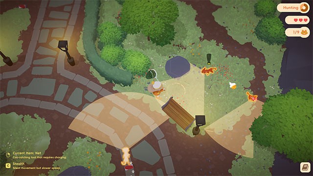 Cứu hộ những chú mèo hoang đi lạc ở vùng ngoại ô vào mỗi đêm