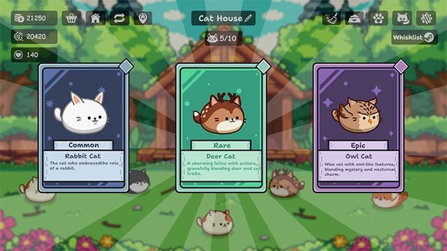 Thu thập những giống mèo hiếm để làm phong phú cho bộ sưu tập cá nhân