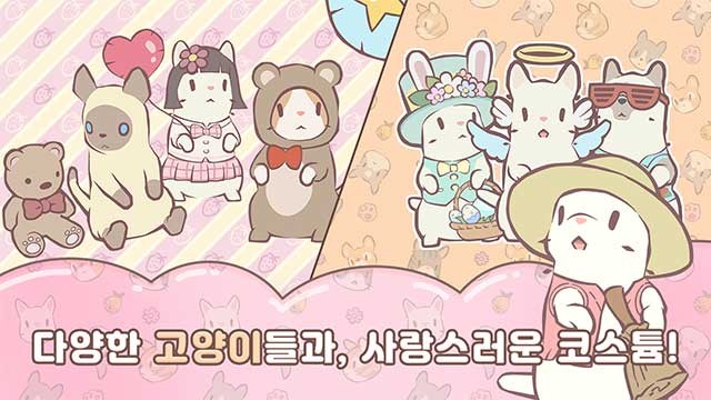 Mặc trang phục cho mèo và tận hưởng các hiệu ứng đặc biệt