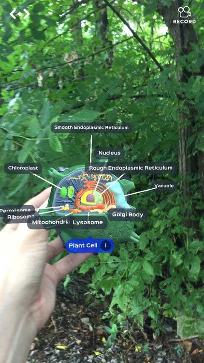 Phóng to để khám phá tế bào của vật thể