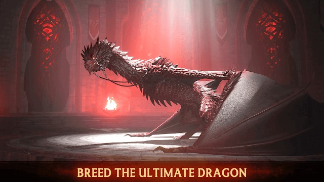 Nuôi và phát triển những con rồng độc đáo