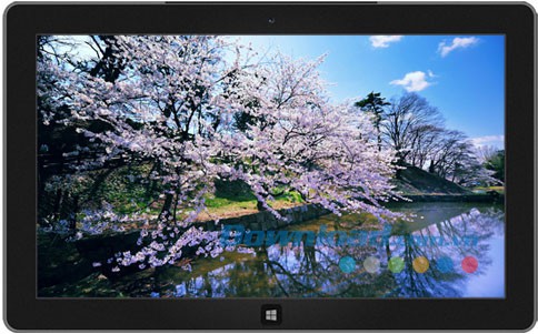 Cherry Blossoms of Japan theme