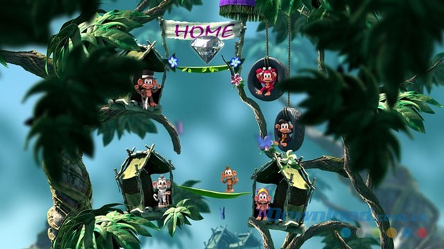 Phiêu lưu trong thế giới khu rừng đẹp mắt