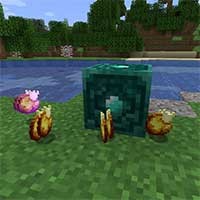 Chorus Warps Mod: Dịch chuyển tức thời với Trái Chorus