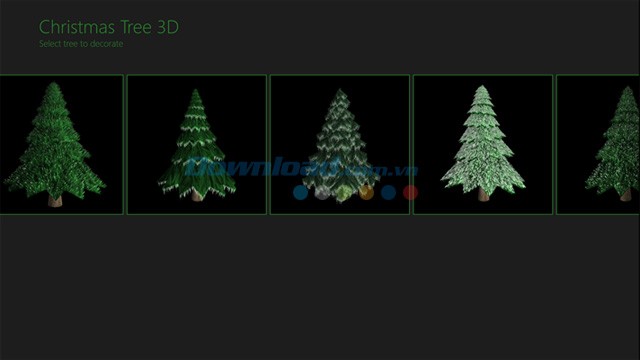 Chọn cây thông Noel