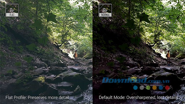 Chế độ Flat Profile và chế độ mặc định thông thường