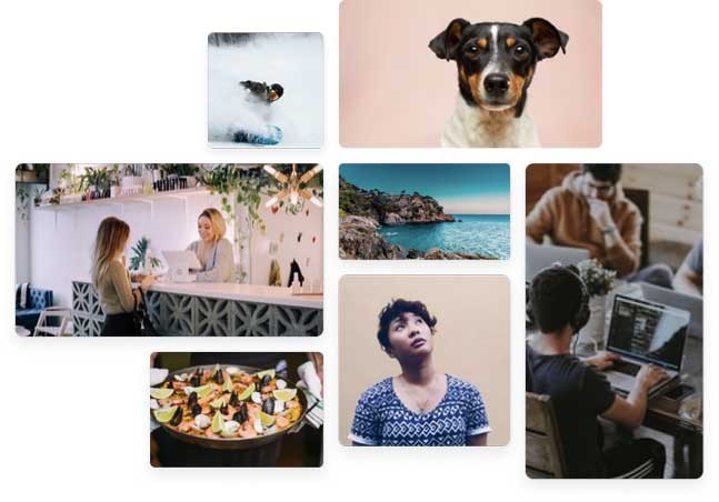 Clipchamp có lượng người dùng ở khắp thế giới