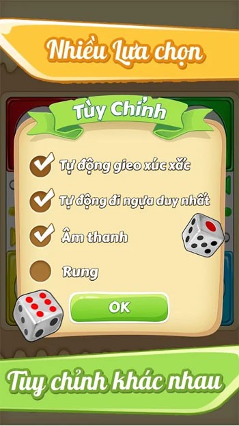 Tùy chỉnh phong phú