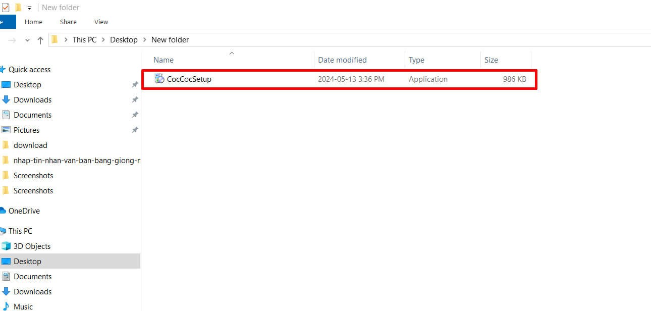 Nhấp đúp chuột vào file CocCocSetup.exe