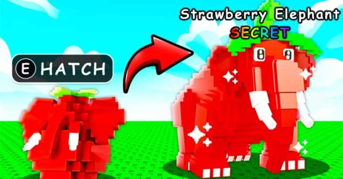 Code Build Brainrot Farm Mới Nhất & Cách Đổi - Hướng Dẫn Chi Tiết