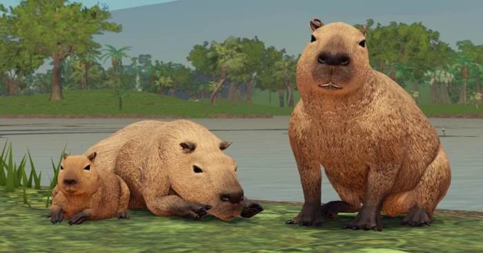 Code Game Jungle Life Mới Nhất & Cách Nhập Code