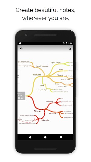 Sơ đồ tư duy trực quan, dễ nắm bắt