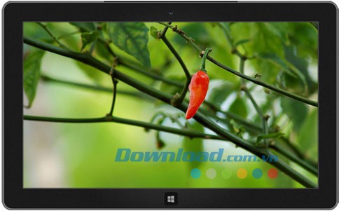 Colors of India theme