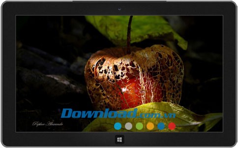 Colors of Nature theme