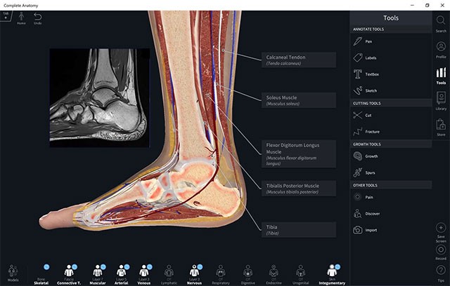 Diễn giải chi tiết cho từng bộ phận