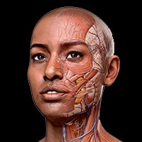 Complete Anatomy 2024: Atlas Giải Phẫu Cơ Thể 3D