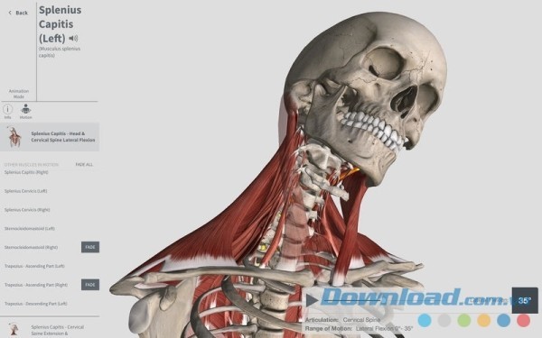 Complete Anatomy cho Mac thiết kế mô hình bằng đồ họa 3D sống động