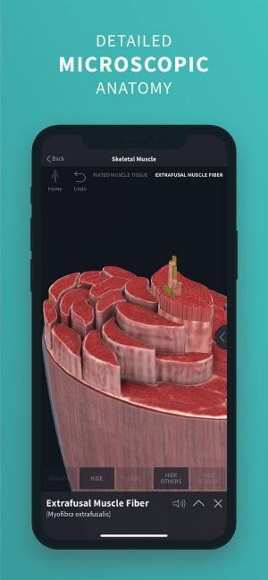 Giải phẫu vi mô