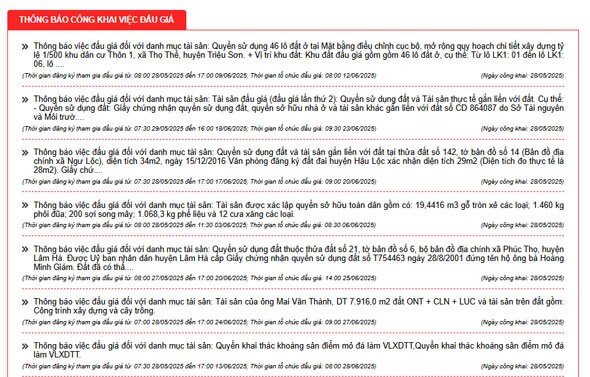 Thông tin về các phiên đấu giá