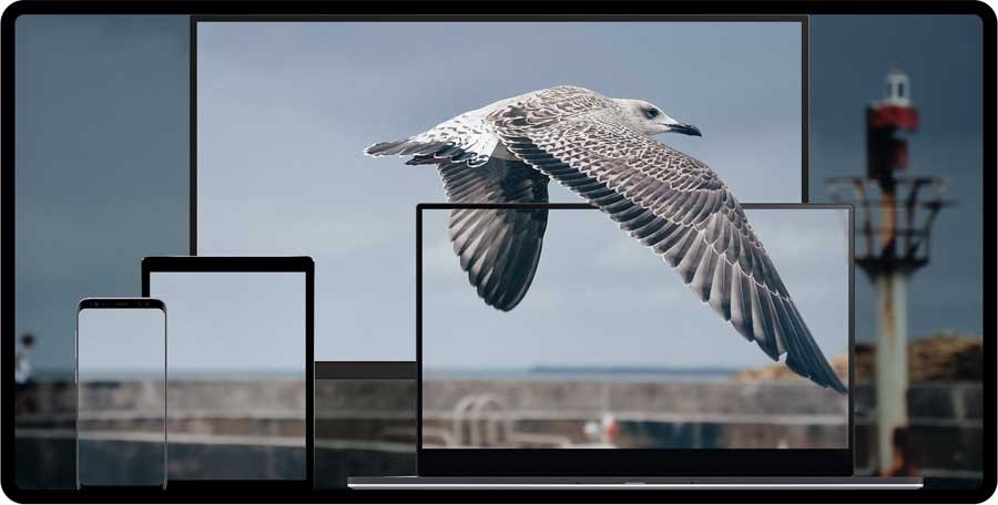 Corel VideoStudio Pro chia sẻ video yêu thích của bạn