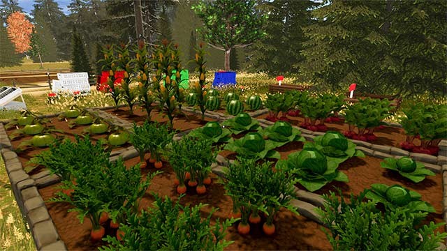 Tự tay gieo hạt và trồng cây, chăm sóc và chờ đến ngày thu hoạch