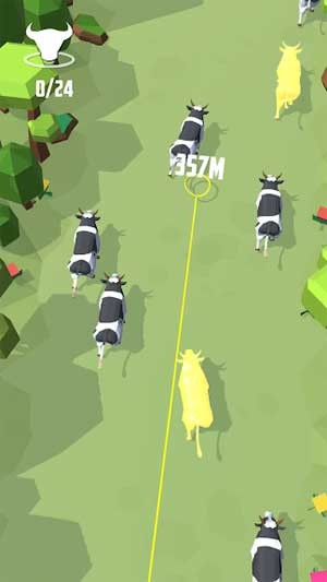 Rèn luyện kỹ năng quăng thòng lọng