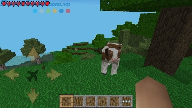 Nuôi động vật và phát triển trang trại