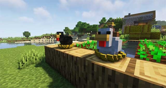 Lai tạo các giống gà khác nhau để thu hoạch những quả trứng có kích thước độc đáo