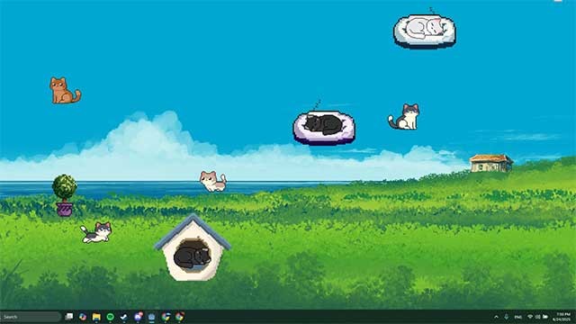 Sưu tầm, trang trí và quản lý ngôi nhà cho từng thú cưng