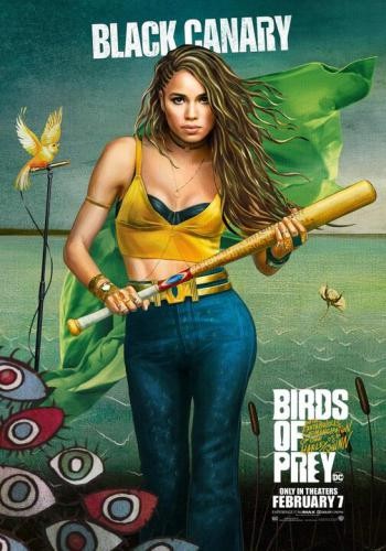 Birds of Prey 9