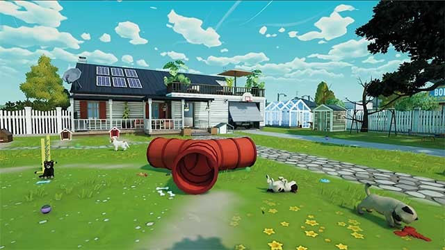 Xây dựng Học viện dành cho cún con trong Cute Puppy Academy